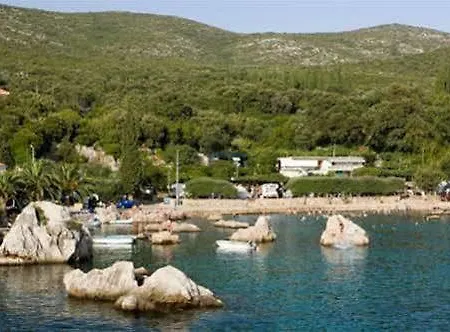 Marin Molunat