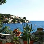 Appartamento Marin Molunat