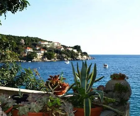 Apartamento Marin Molunat