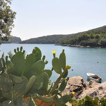 Apartment Marin Molunat